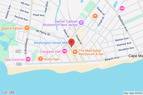 Great White Shark Outlet