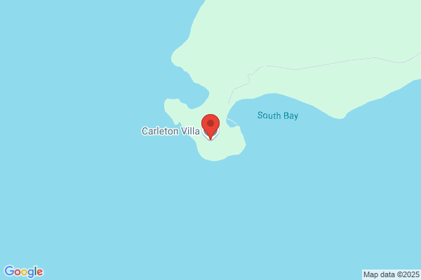 Carleton the