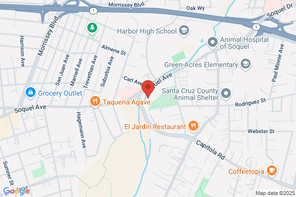 Harbor Dental