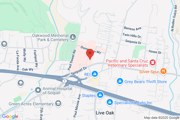 Nanette Mickiewicz, MD
