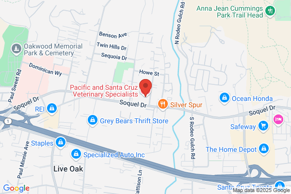 Pacific and Santa Cruz Veterinary Specialists