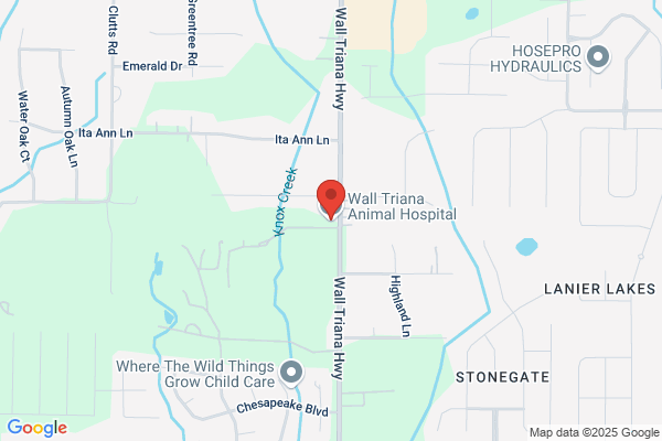 Nall, Jane DVM - Nall Animal Hospital