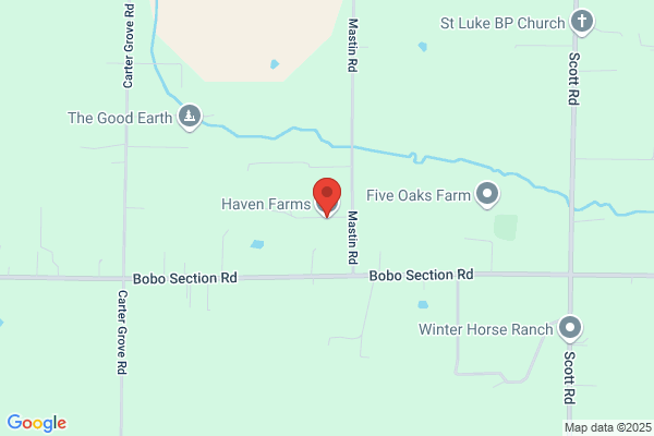 Saddlehaven Farm
