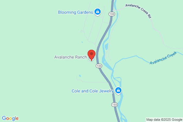 Avalanche Ranch & Antiques