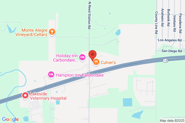 Comfort Inn & Suites Carbondale University Area