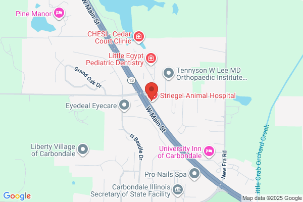 Striegel Animal Hospital
