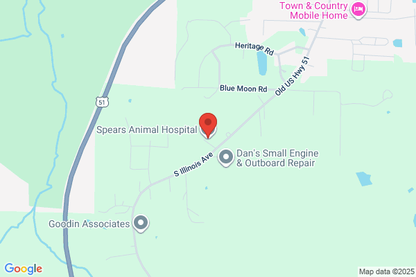 Spears Animal Hospital