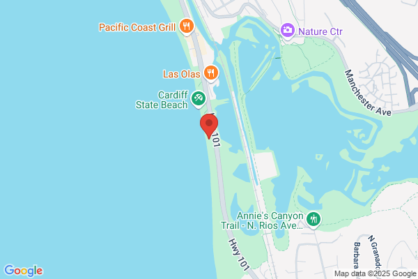 Seaside Rooter