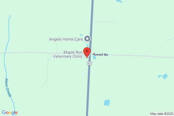 Maple Run Veterinary Clinic Llc