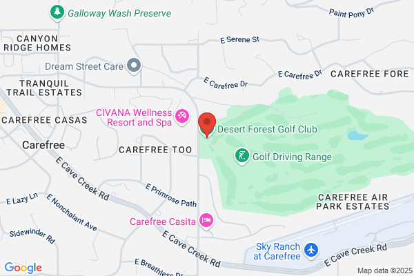 Desert Forest Realty