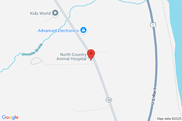 North Country Animal Hospital