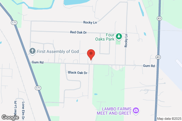 Olson Electric