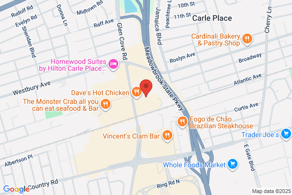 Metrovision Carle Place