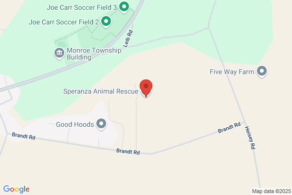 Pet Adoption Center