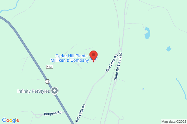 Excelsior Plant-Division of Milliken & Company