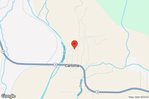 Carlotta Hair Shop