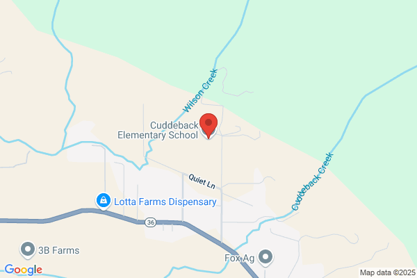 Cuddeback Grammar School