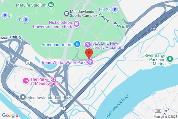 Louis Vuitton Saks American Dream