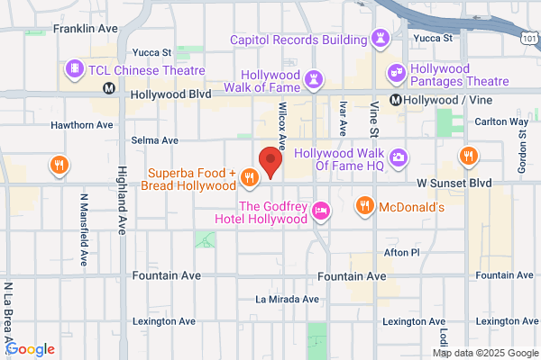Hollywood Videos