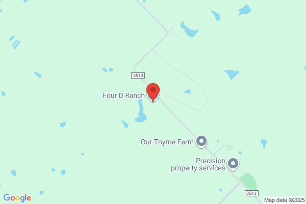 Four Bees Ranch