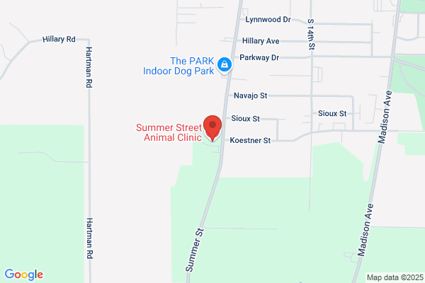 Summer St Animal Clinic
