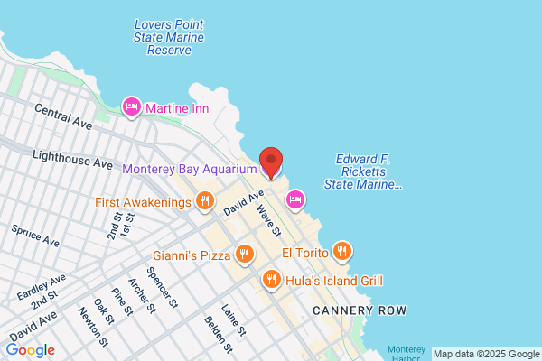 Montery Bay Area Birdbox