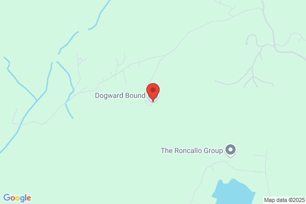 Dogward Bound