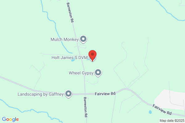 Holt James E DVM