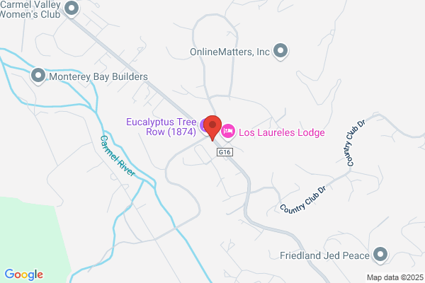 Michele Henderson, Realtor