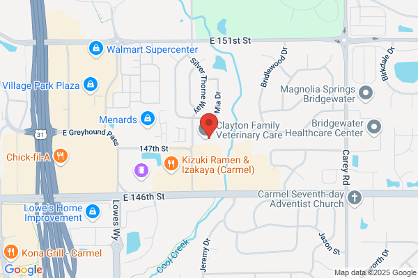 Hamilton County Endodontics