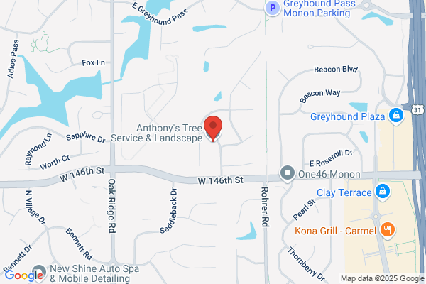 Ornamental Tree & Shrub Services