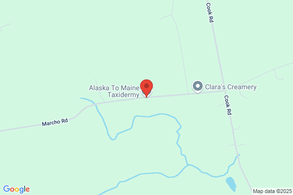 Alaska To Maine Taxidermy