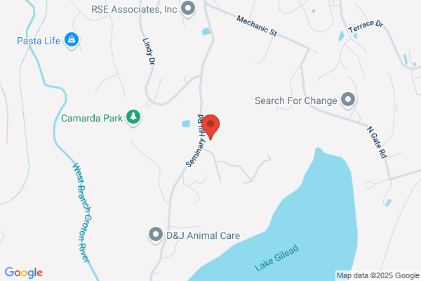 Beach Chimney Service LLC
