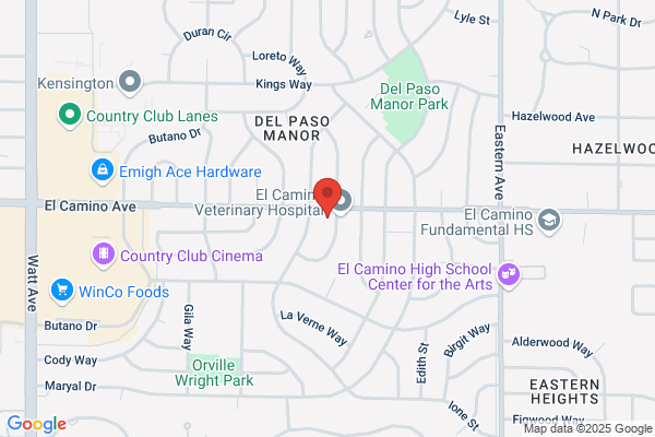 Hanh Nguyen DDS
