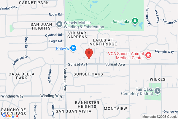 Somatic Therapies Institute
