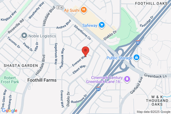 American River Solar Panel Cleaning