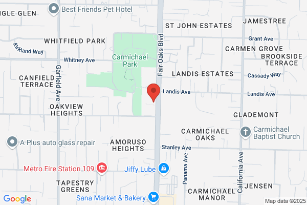 LLF Carmichael Bankruptcy Lawyers
