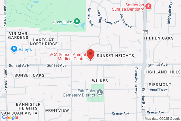 VCA Sunset Animal Medical Center
