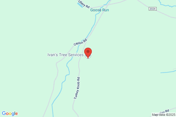 Ivan's Tree Service