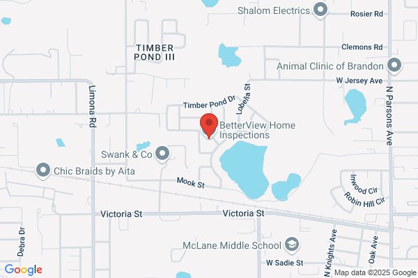 Better View Home Inspection