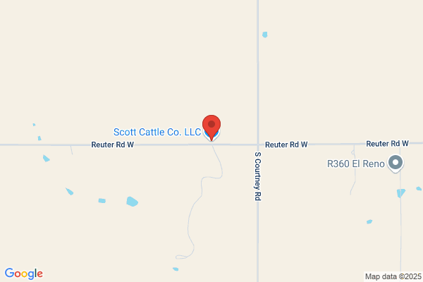 Scott's Livestock Company