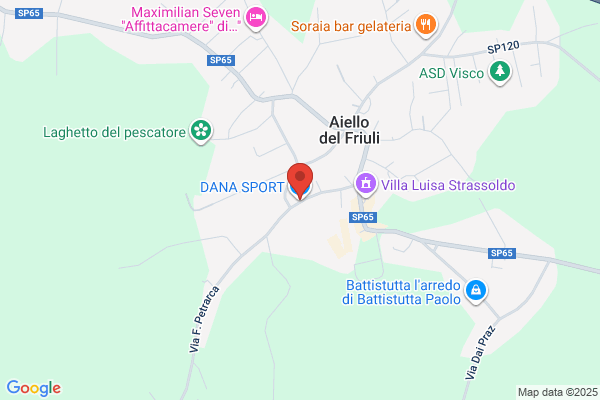 Dana's Sports