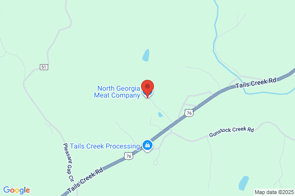 North Ga Processing Inc