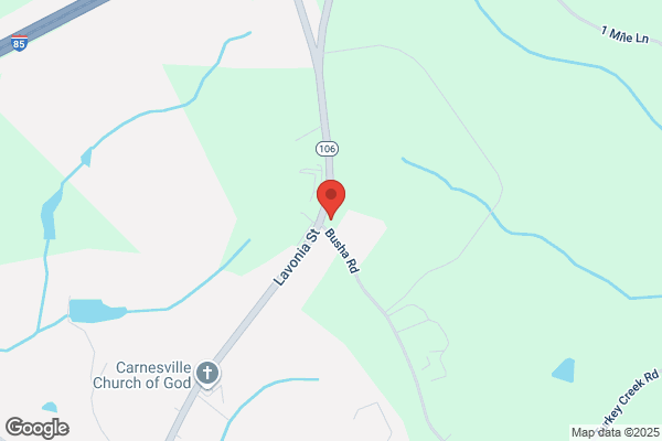 Parts City Auto Parts - Carnesville Auto Parts