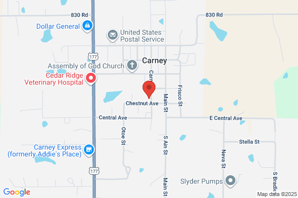 Carney High School