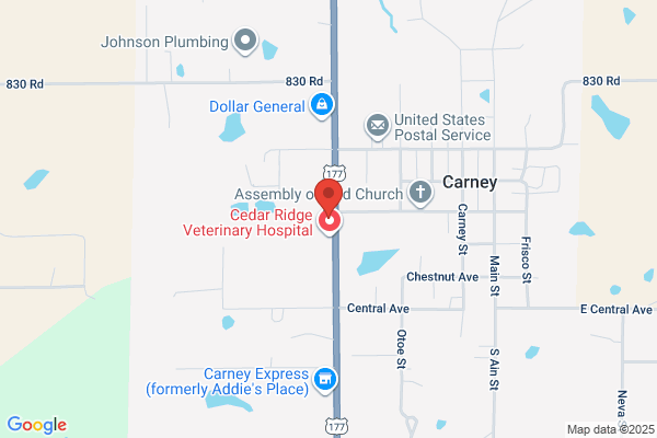 Carney Rv Park