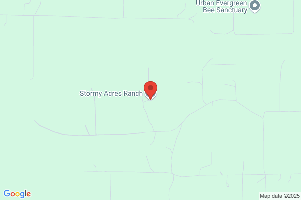 Stormy Acres