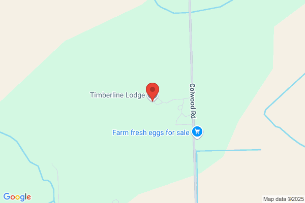 Timberline Lodge Inc