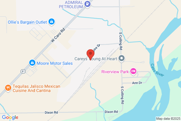 Michigan Ethanol Llc