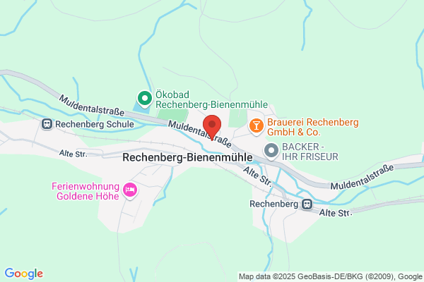 Berthel Electric